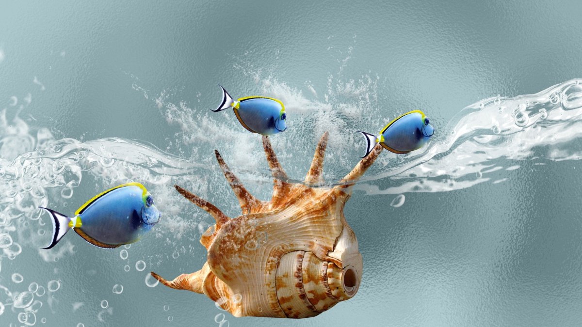 Рыбы под водой