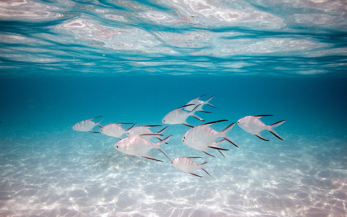Морской заповедник Саут-Уотер-Кей,