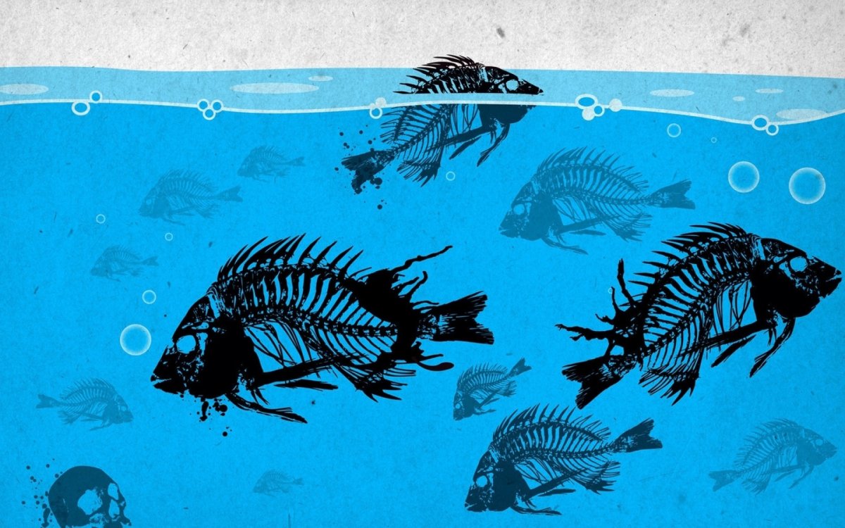 Креативное изображение рыбы