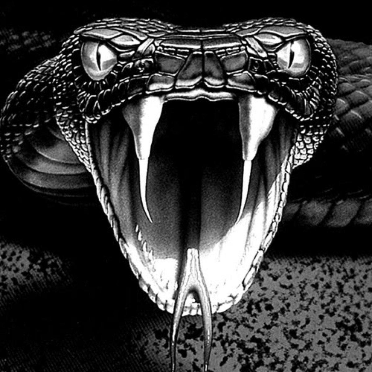 Бурмезский питон