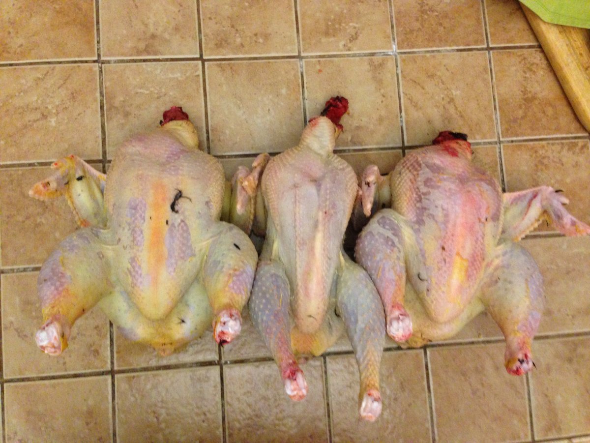 Сказка чтобы пощипать спину