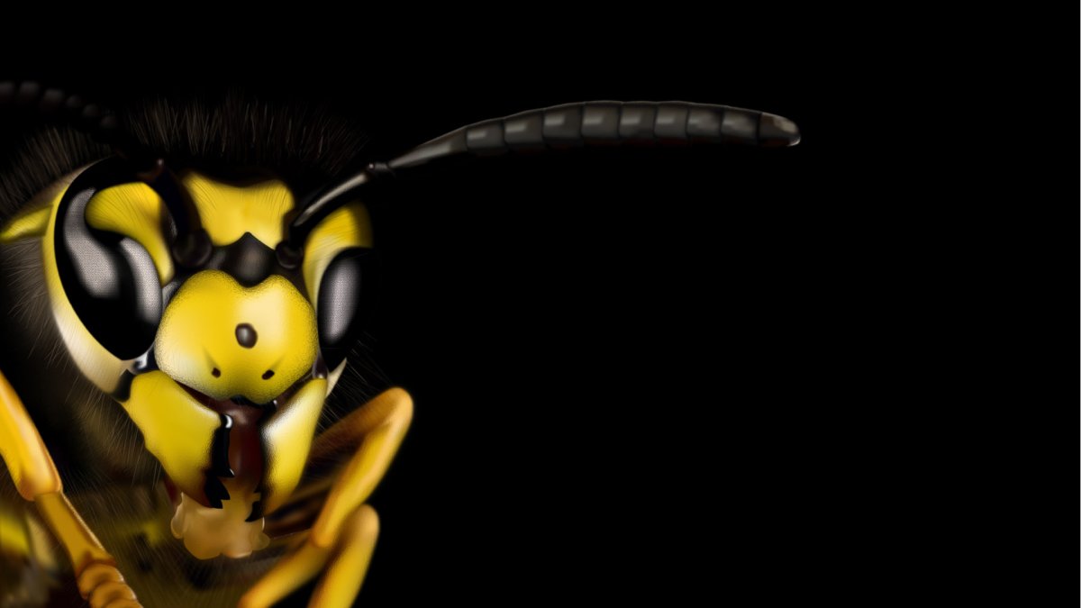 Черно желтая пчела