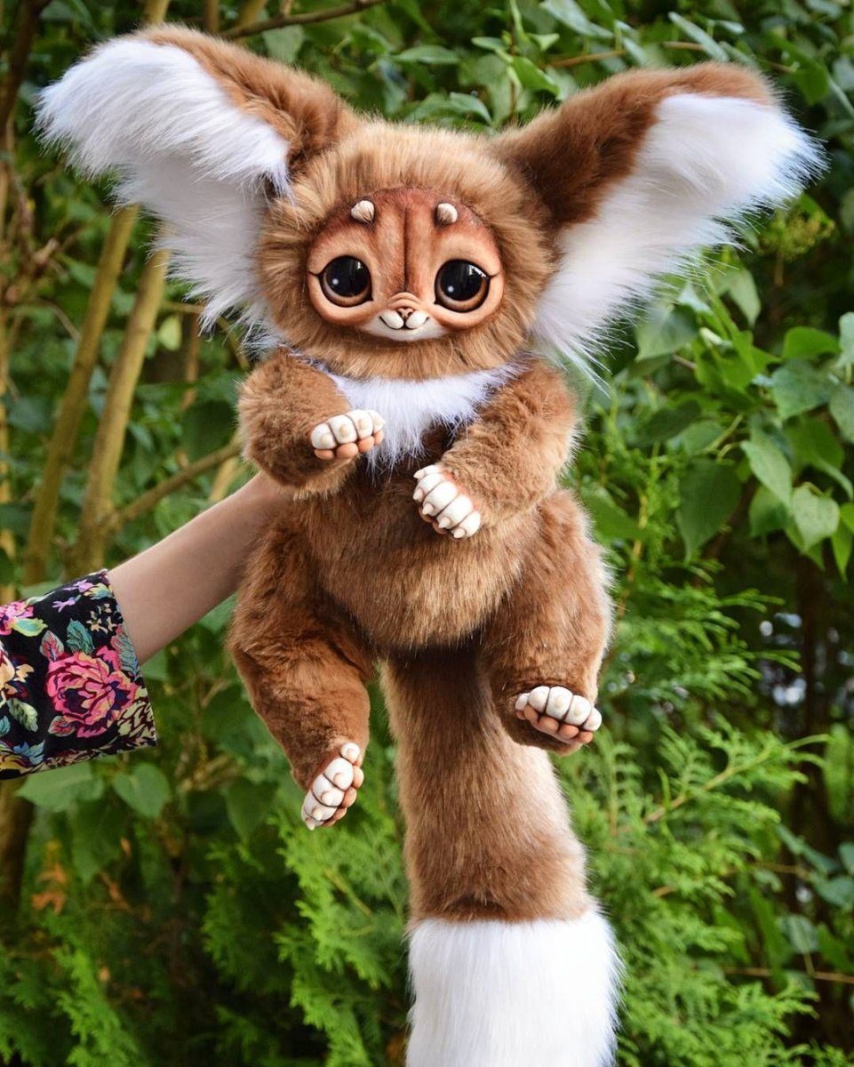 Мадагаскарский глазоух