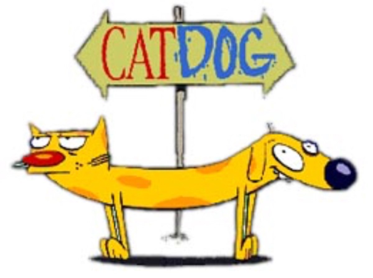 Бассет хаунд веселый пес