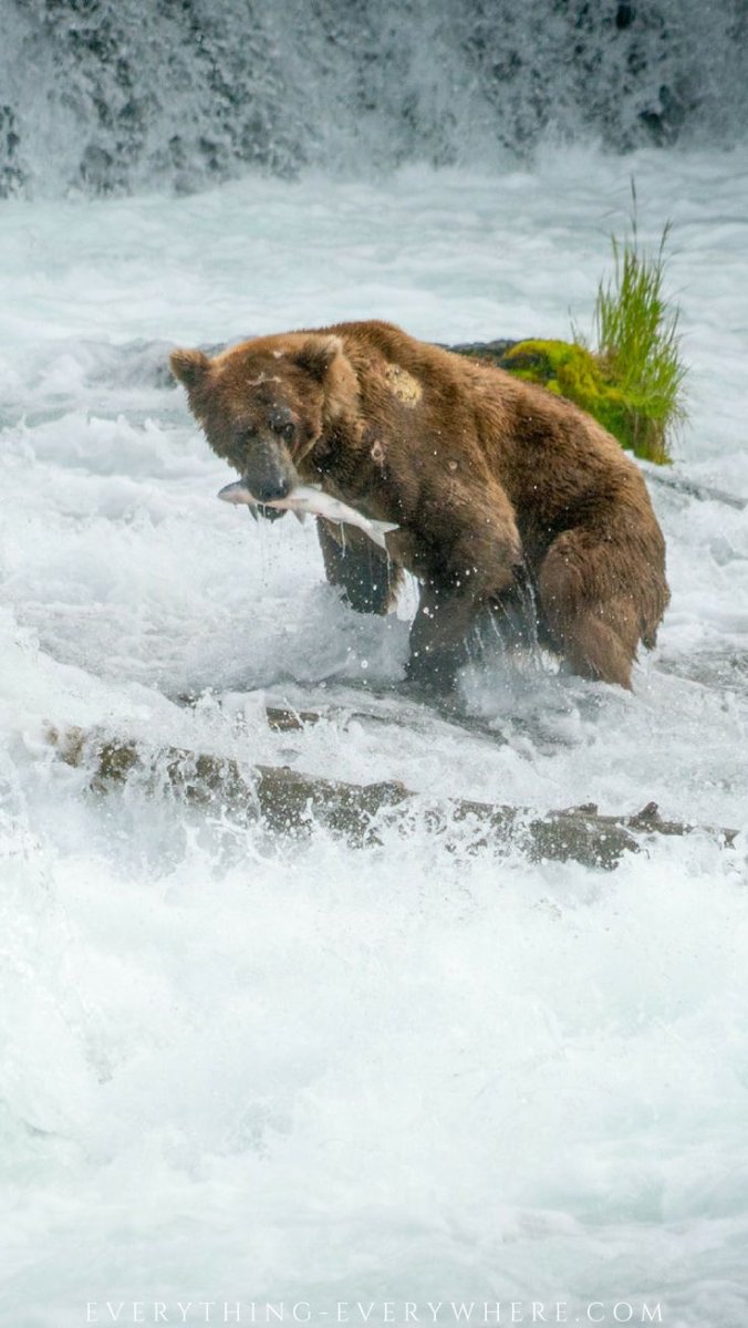 Аляска парк Катмай