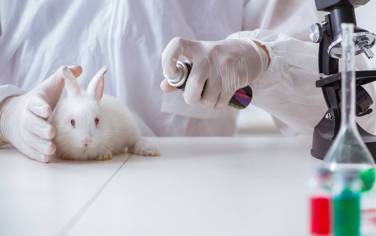 Исследования на животных