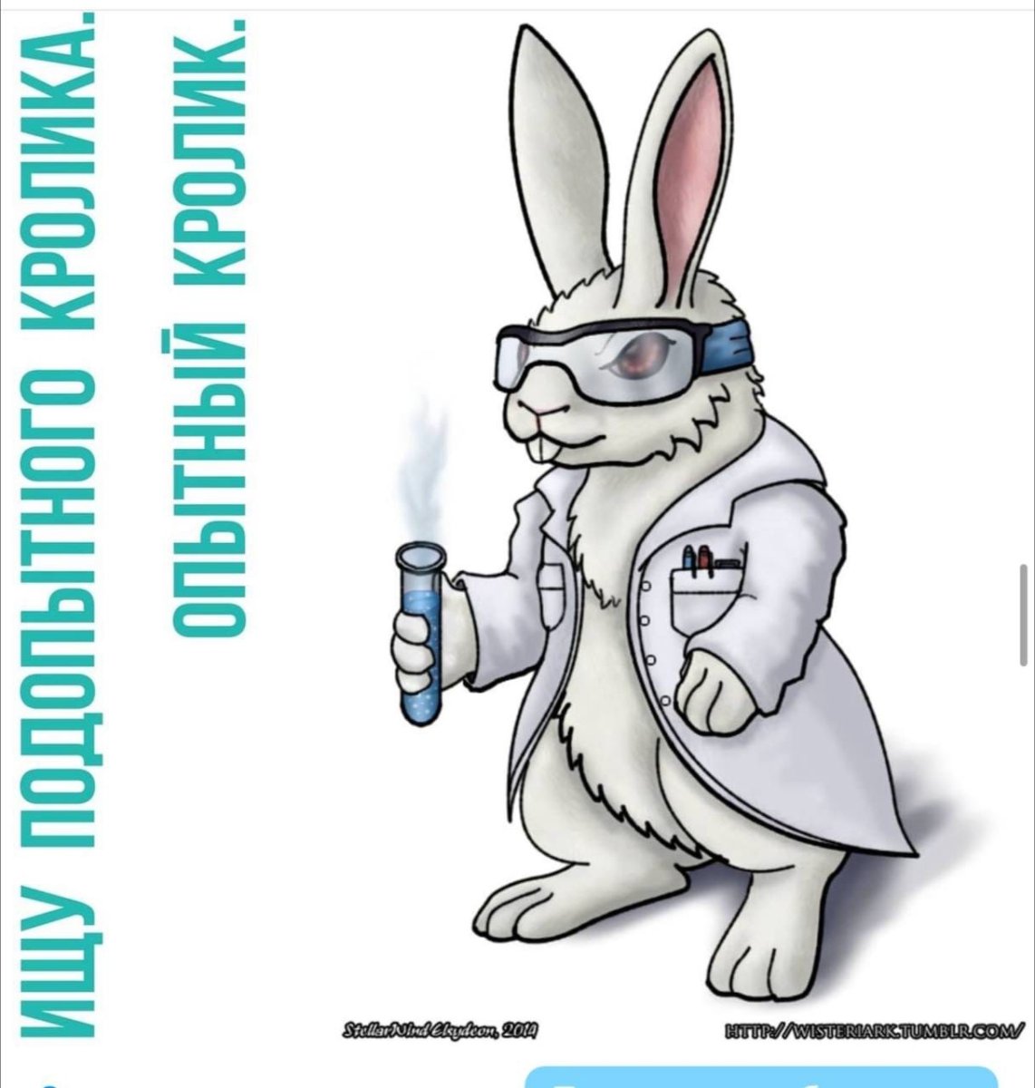 ИТ кролик