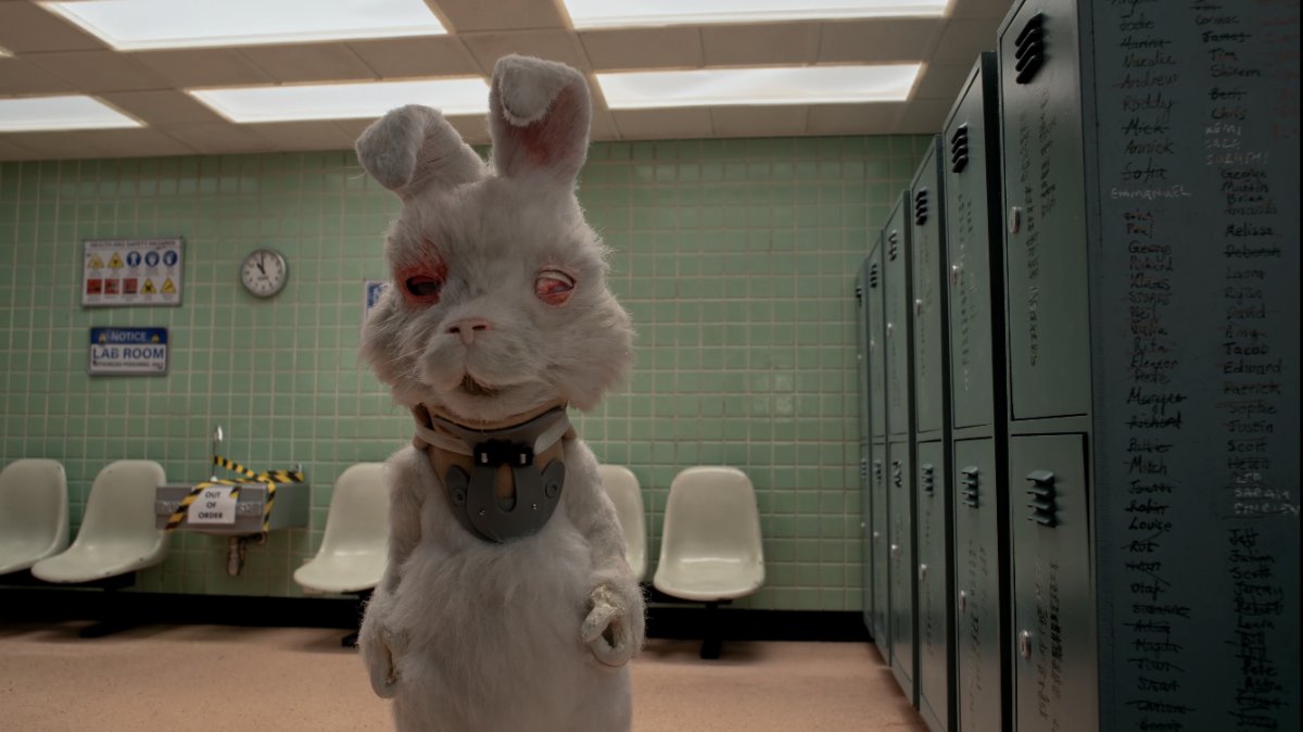 Художник Ryohei Hase кролик