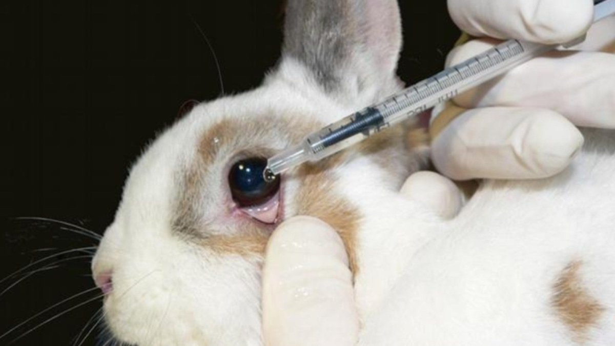 Кролик Ральф фильм