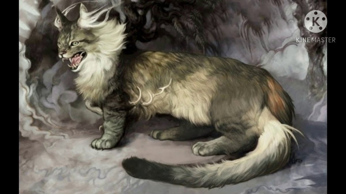 Двуликая кошка в полный рост