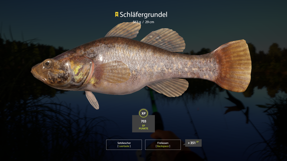 Прожорливый ротан