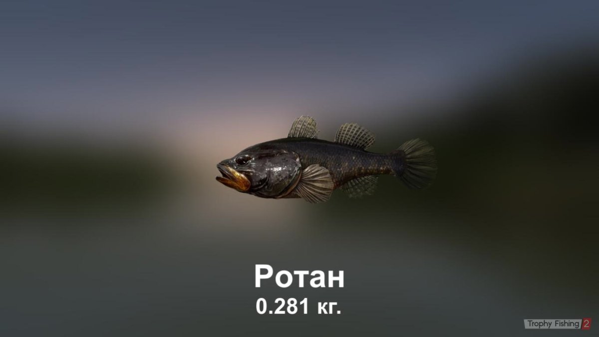 Ротан хищник