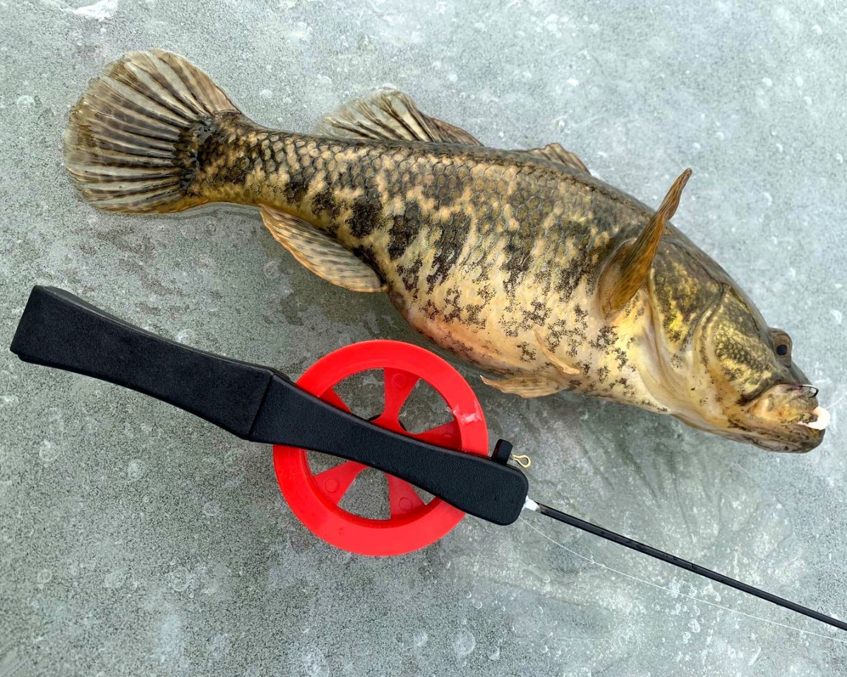 Зимняя рыбалка на ротана