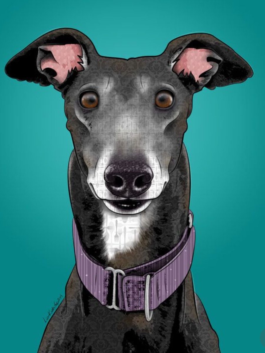 Уиппет собака снуп дог