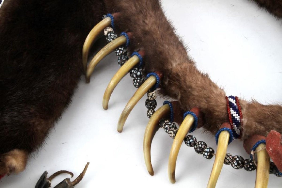 Когти Росомахи