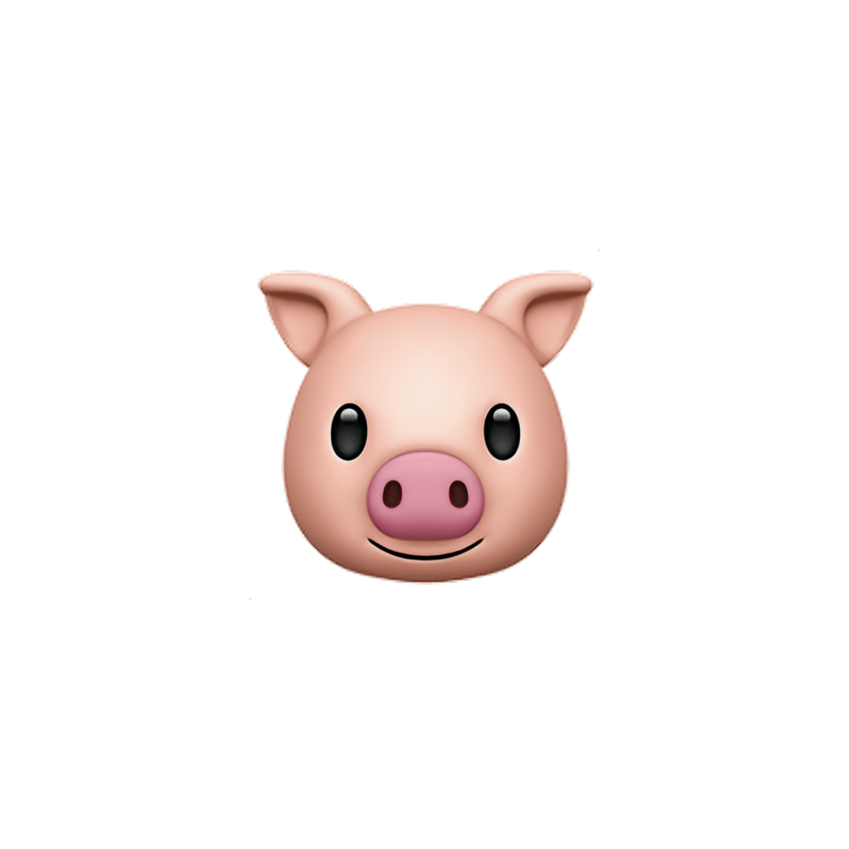 Pig aesthetic