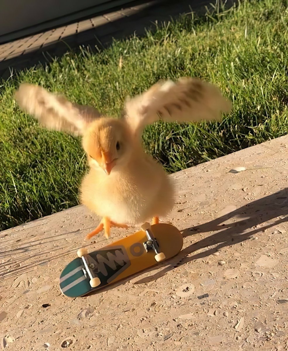 Милые уточки