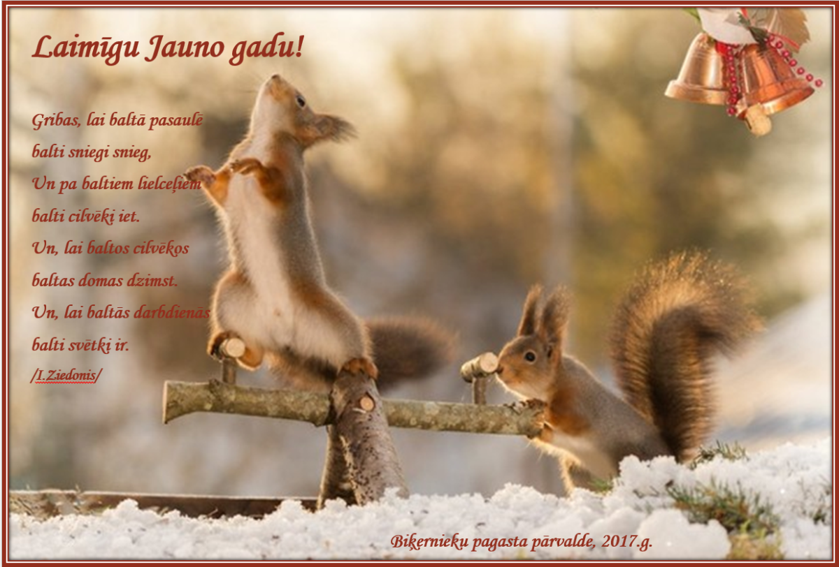 Новогодние белки