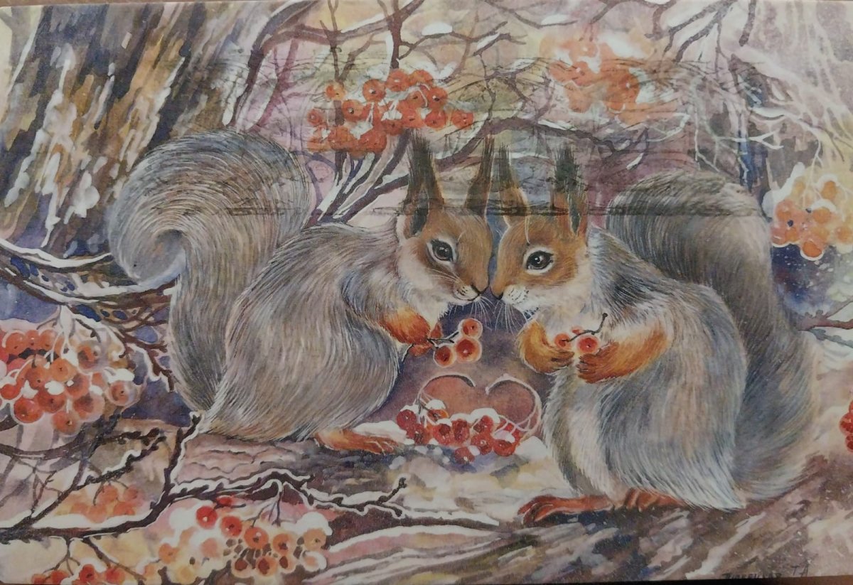 Белка питается желудями