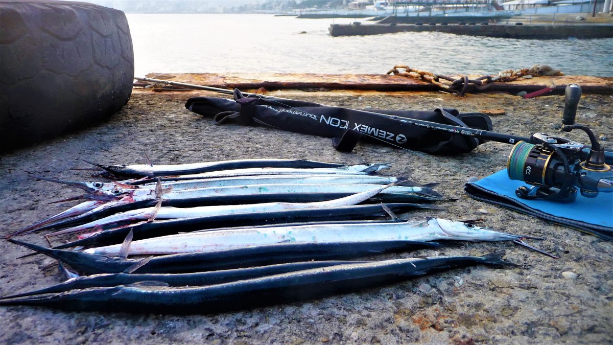 Сарган Приморье