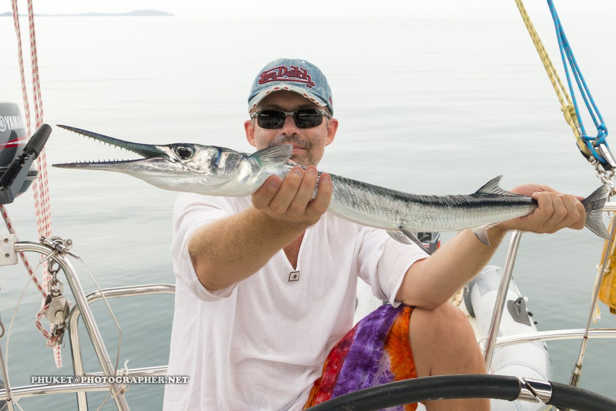 Рыба игла Сарган