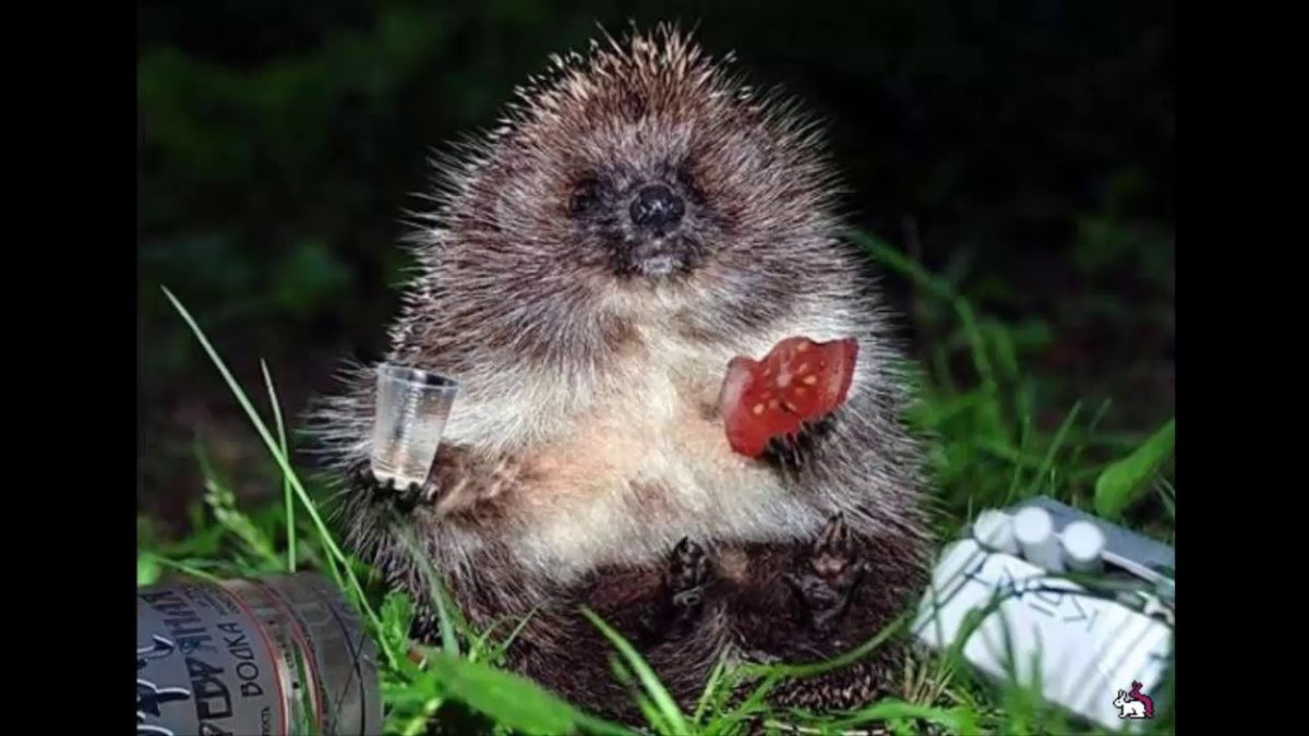 Ёжики самовар Елена Еремина