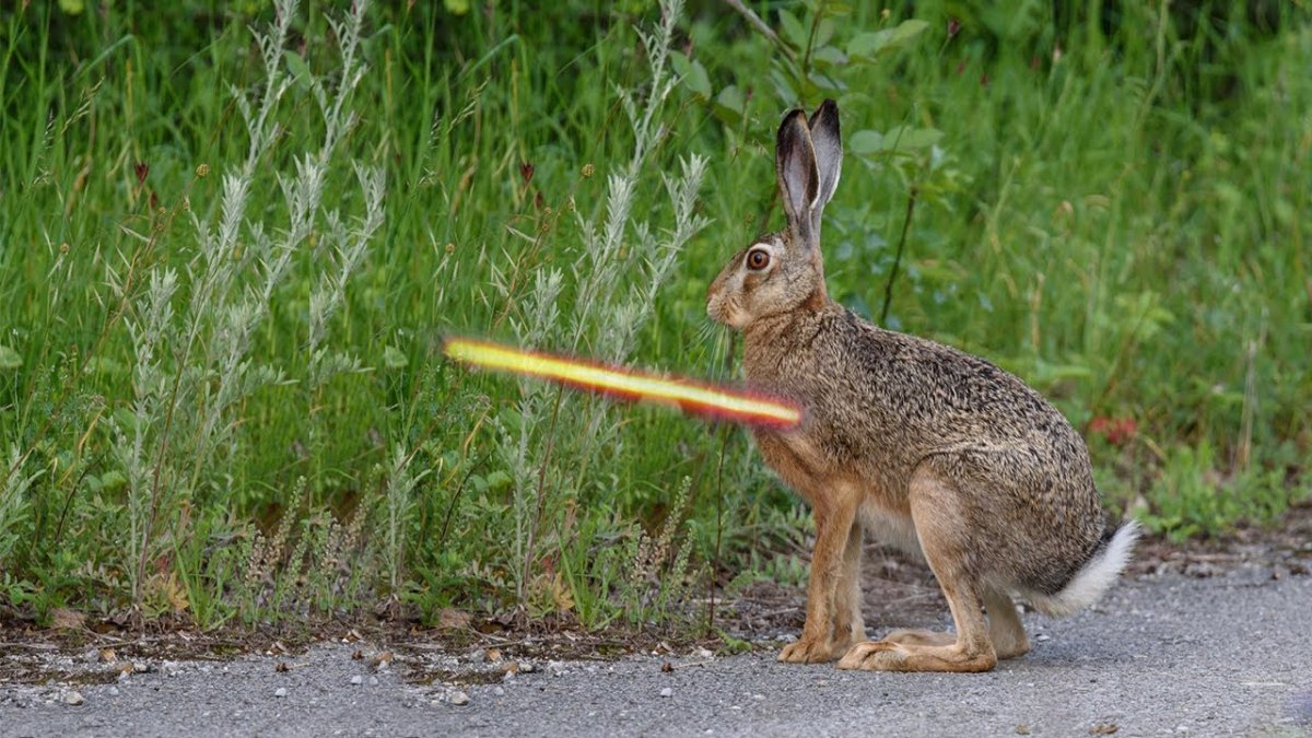 Зайчик серый