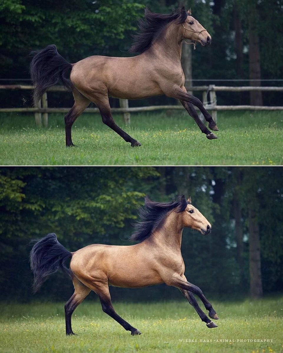 Наталья Каданцева акварель