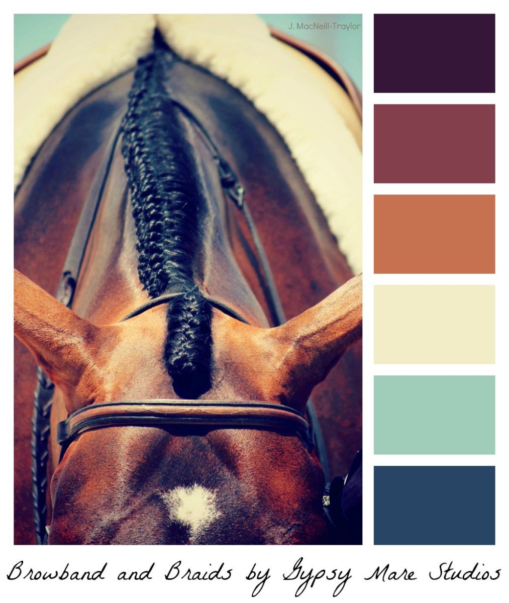 Сочетание цветов