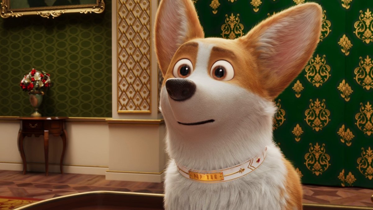 Кролик рекс Tricolor