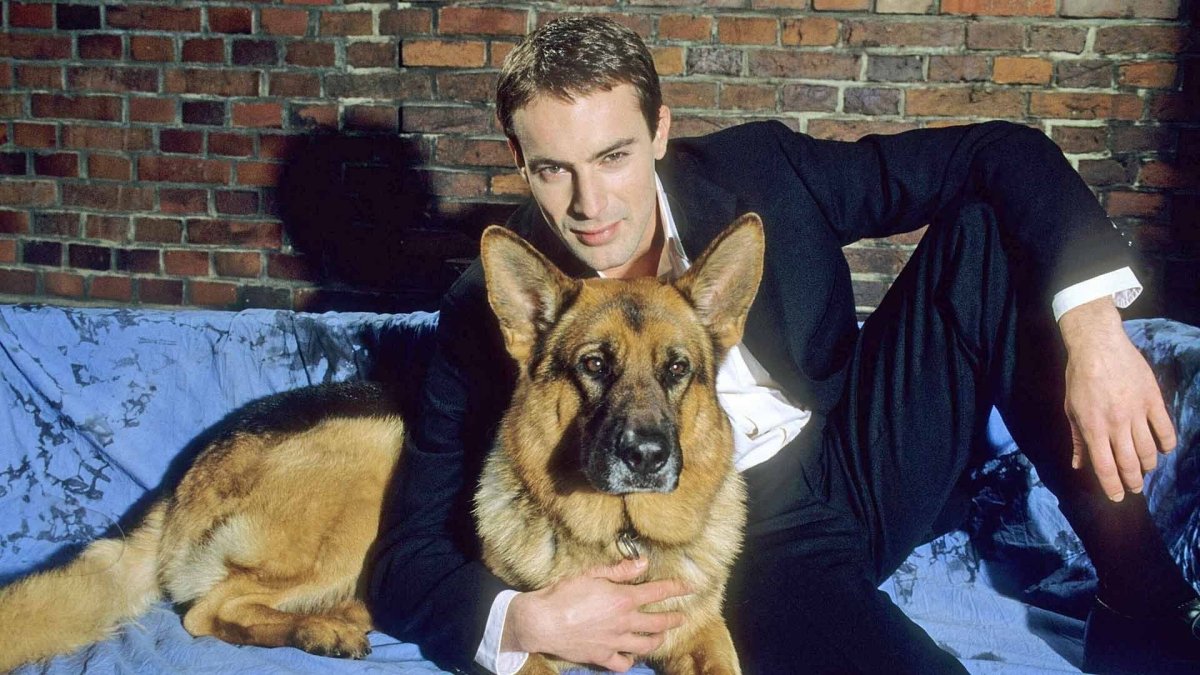 Королевский корги мультфильм рекс