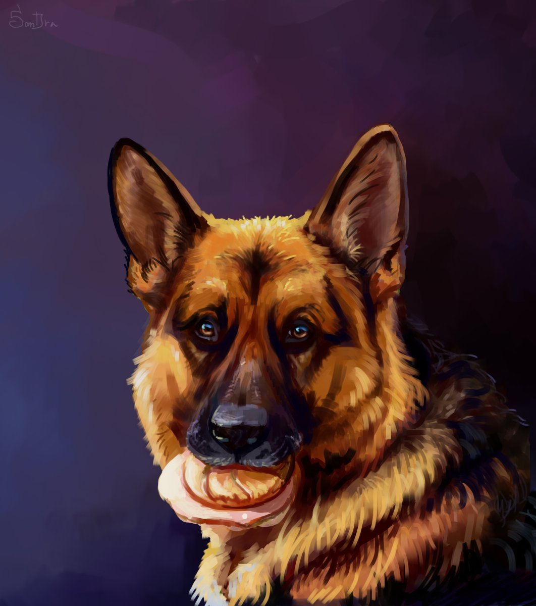 Немецкая овчарка Мухтар арт