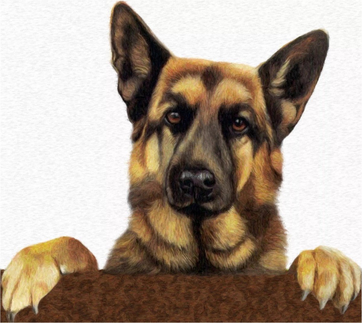 Сеттер и кролик