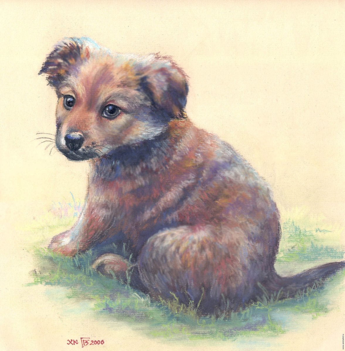 Немецкая овчарка 4 к