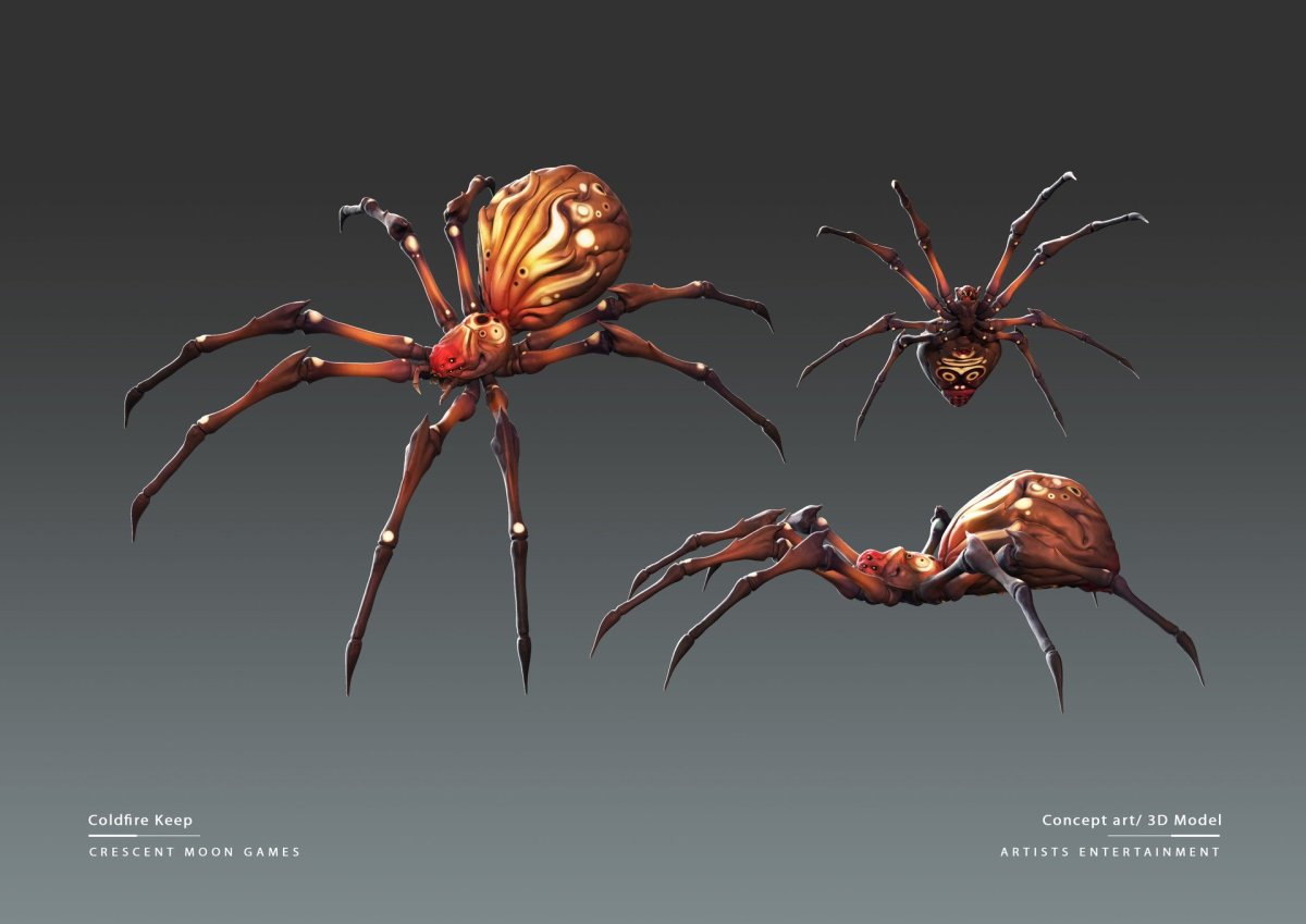 Паук концепт