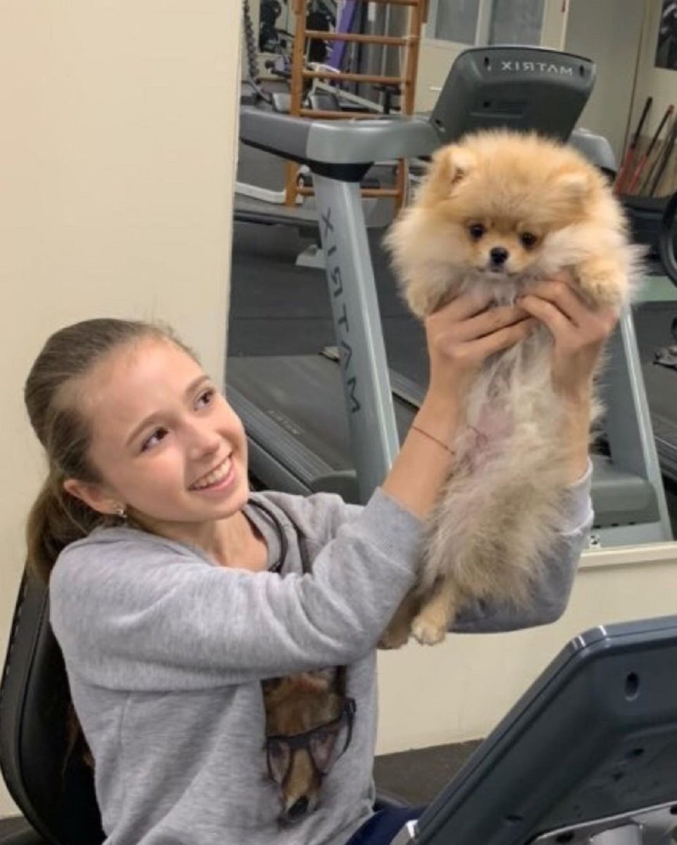 Шпиц Лева Валиевой