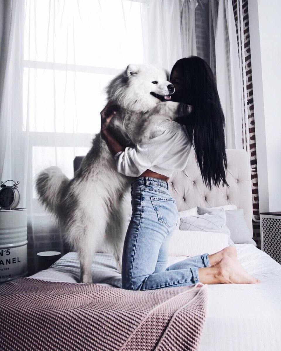 Фотосессия девушка с собакой