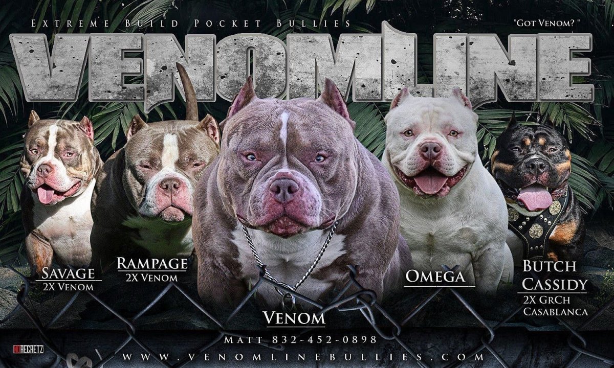 Утяжелители для американского булли