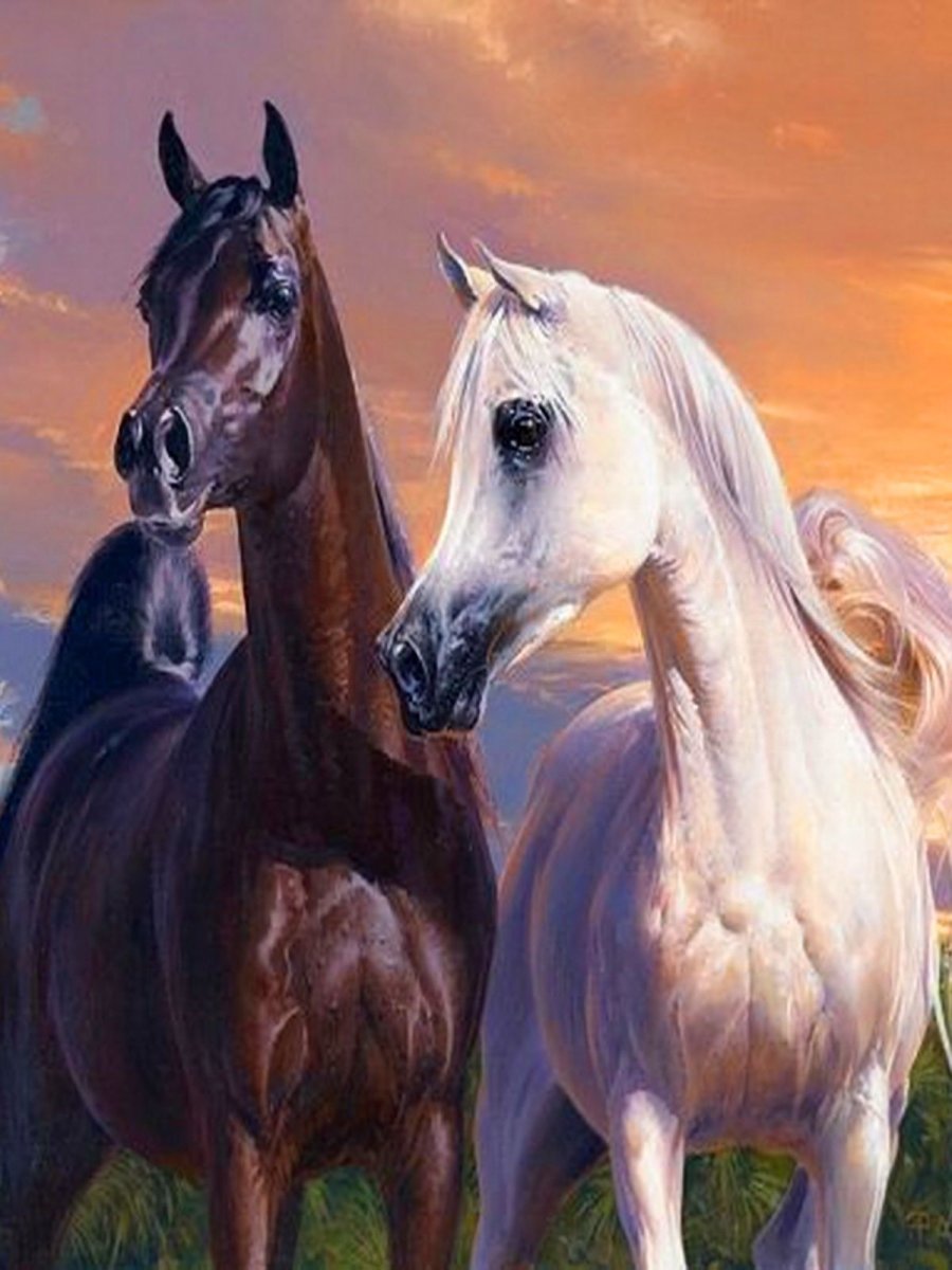 Лошади. Британский художник Петер Смит .