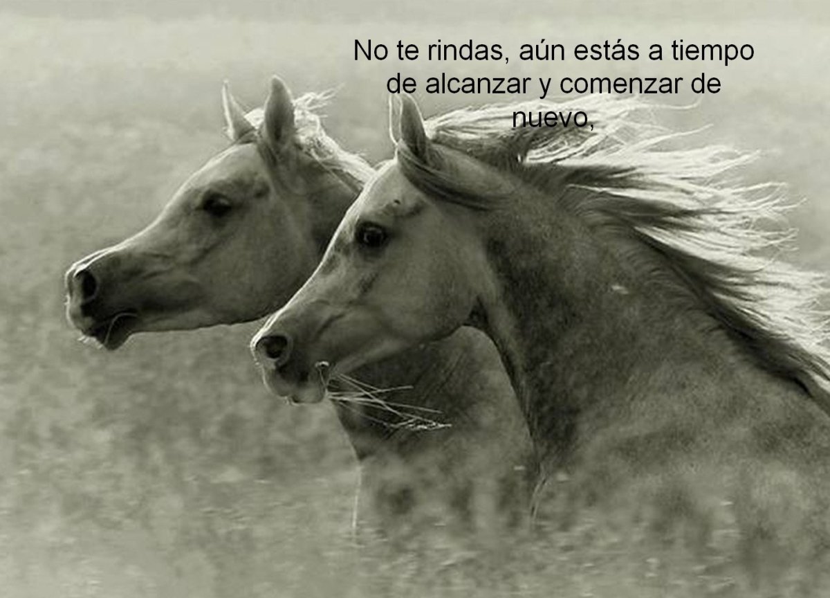 Войтек Квятковский