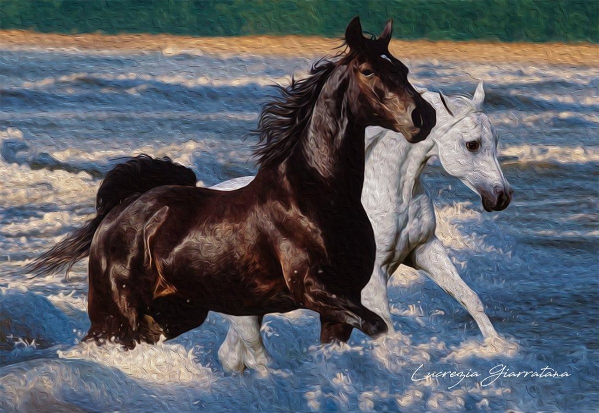 Лошади и море