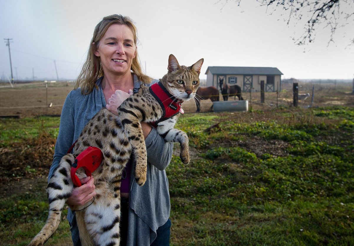 Мейн кун очень большой