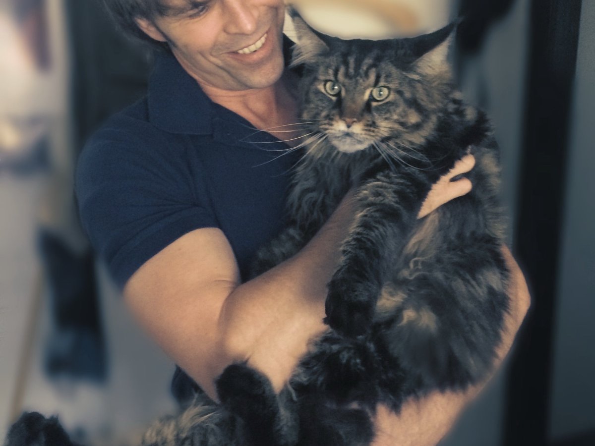 Мейн кун Павла воли