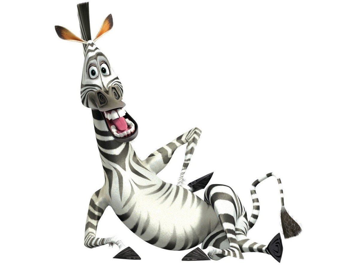 Зебра смешная мультяшная
