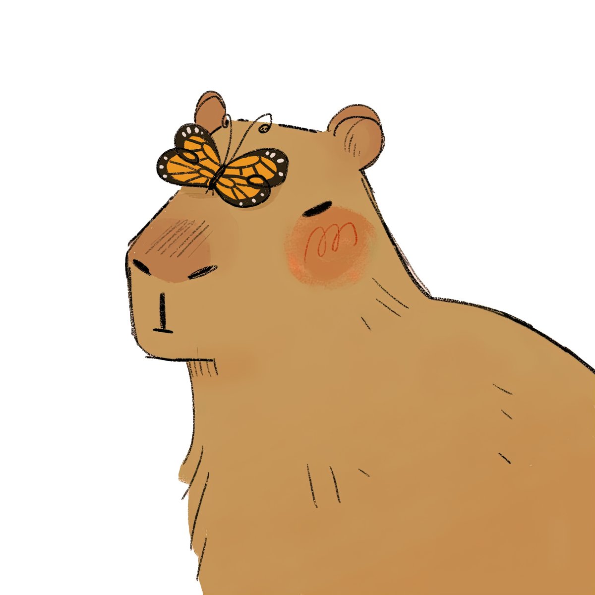 Капибары в Аргентине