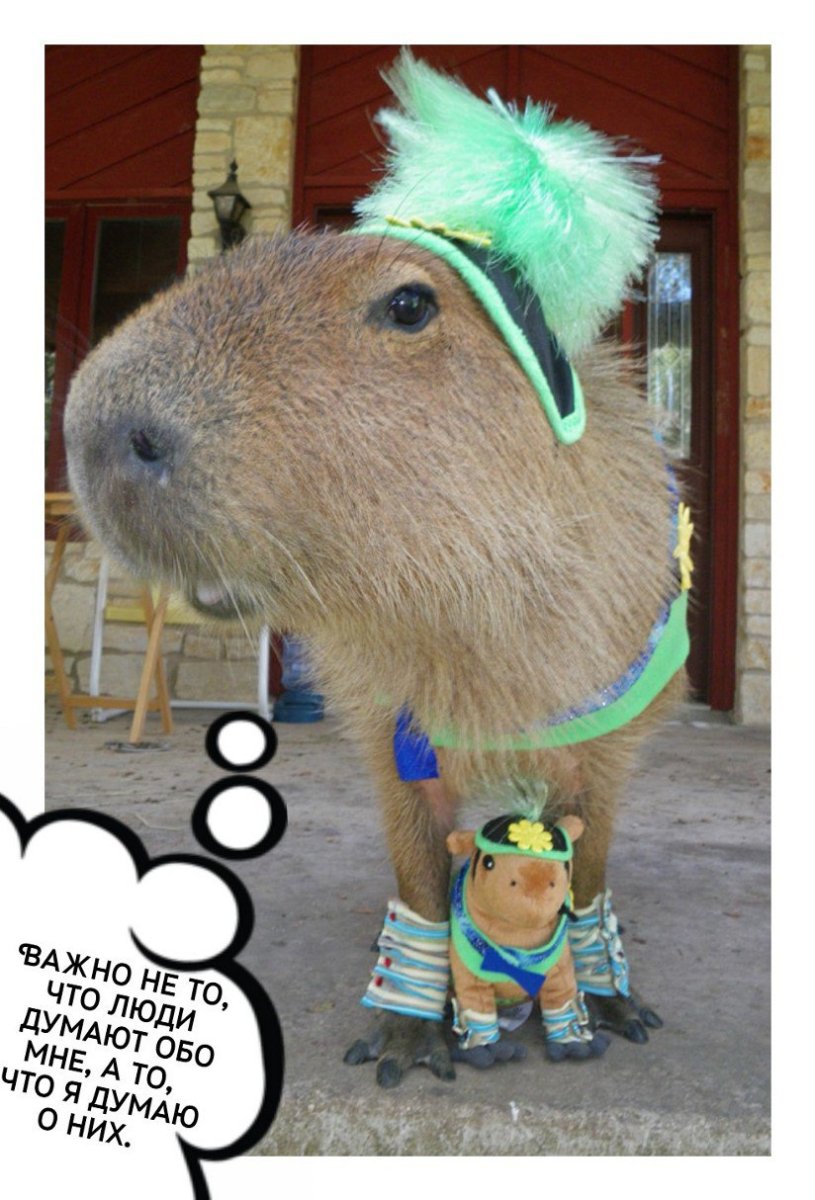 Капибара арт