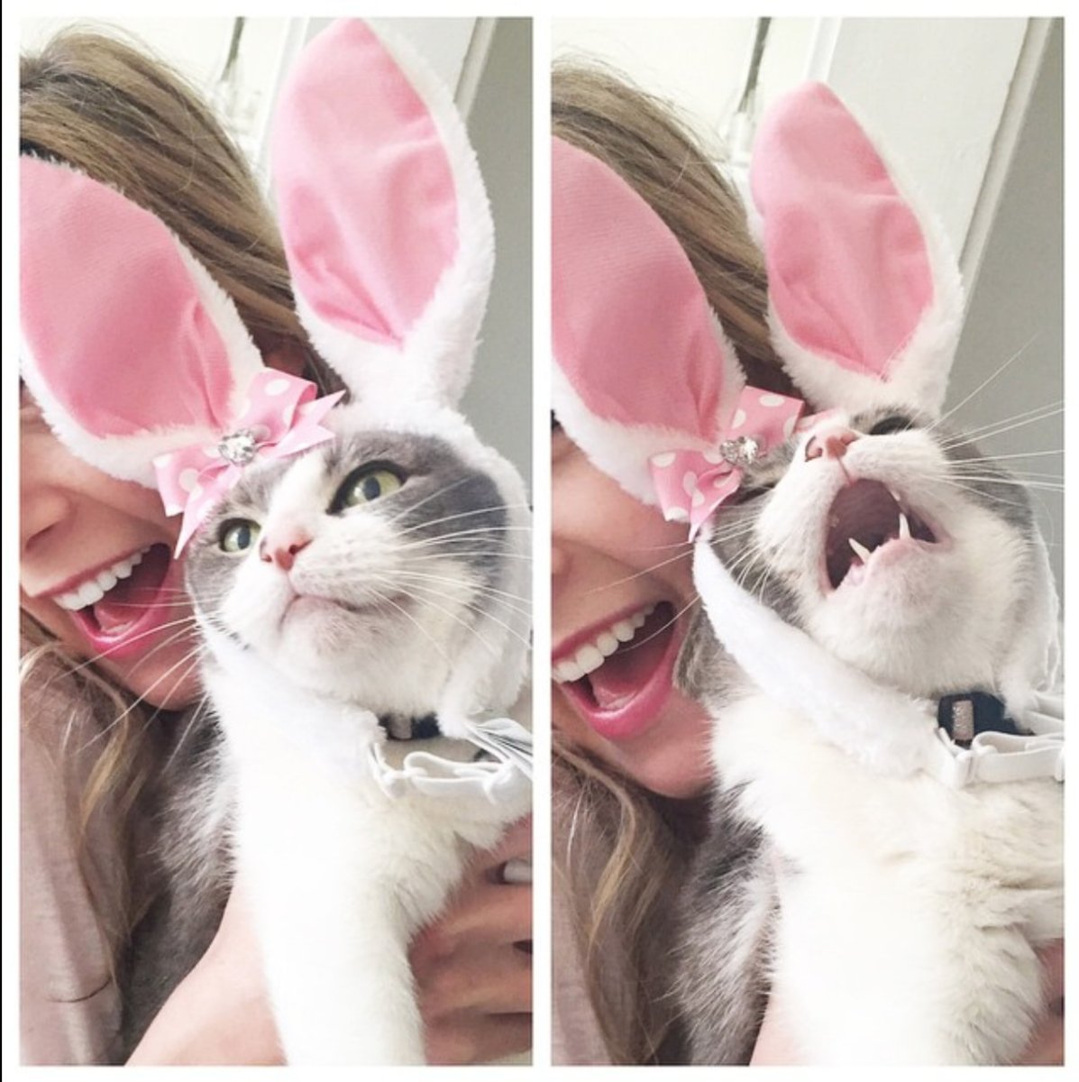 Котенок в шапочке