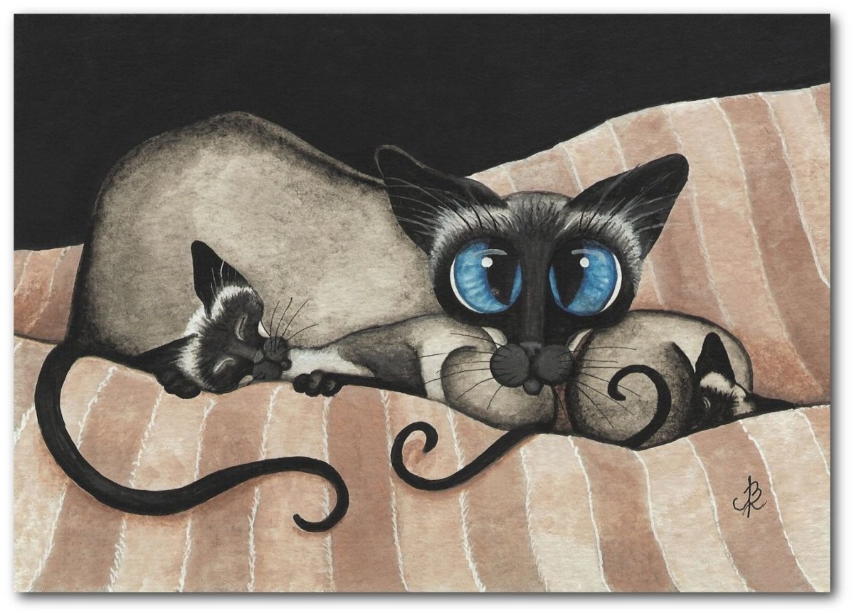 Сиамский Крысолов кошка