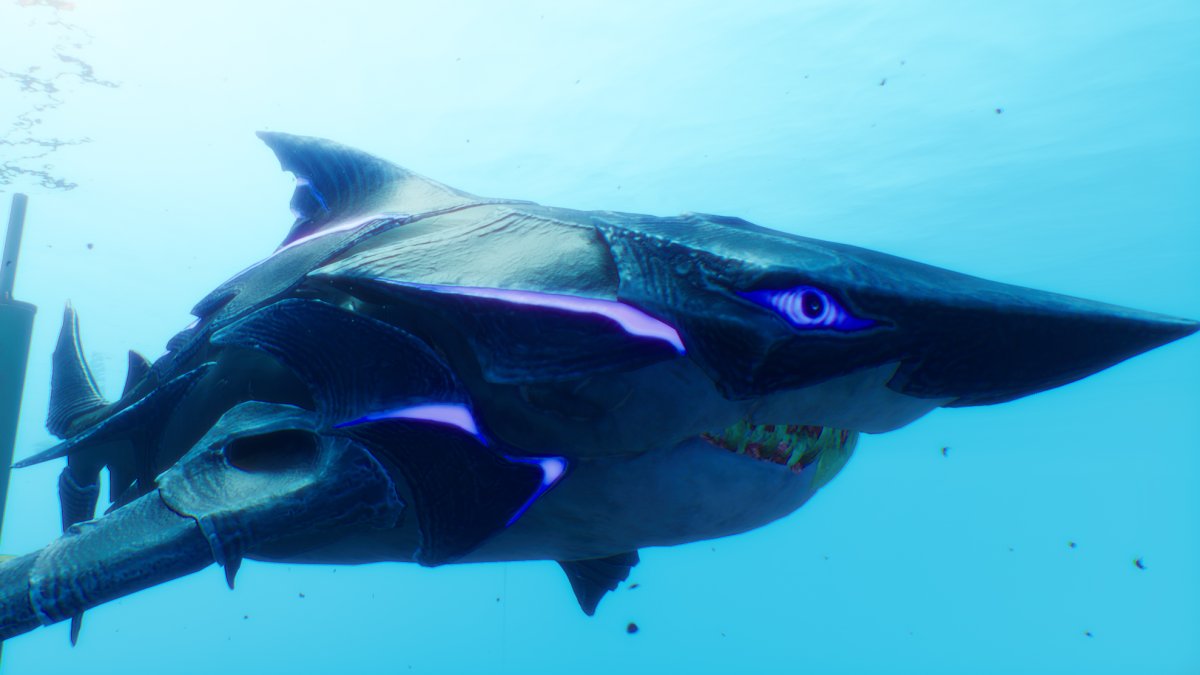 Длиннокрылая акула