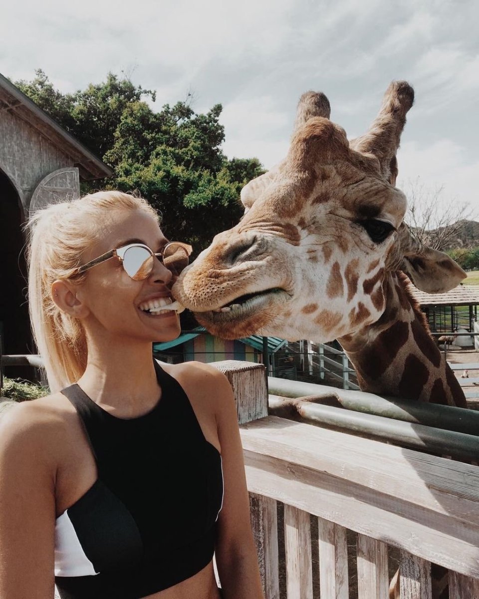 Животные из инстаграма